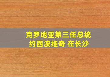 克罗地亚第三任总统 约西波维奇 在长沙